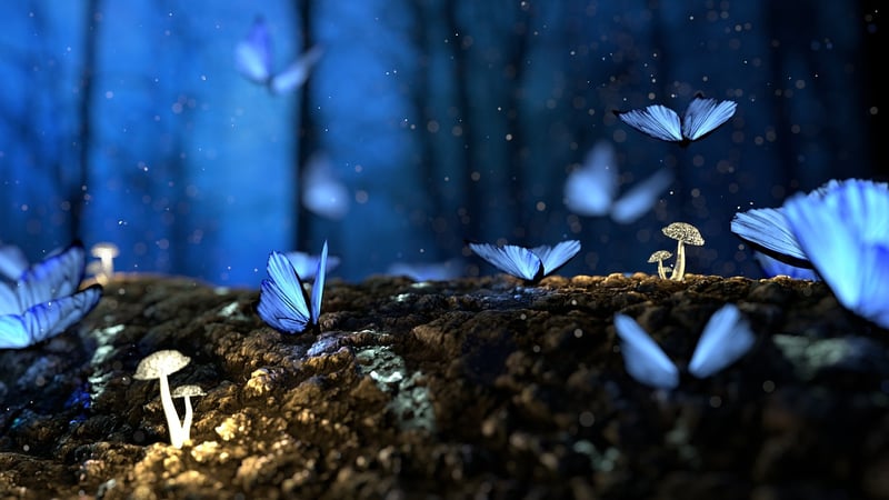 Enchanted Garden at Night